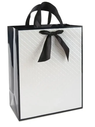 Shopping Paper Bag 1 Shopping Paper Bag 1